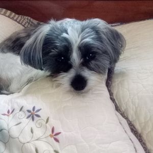 Meet your Posher, Tonya